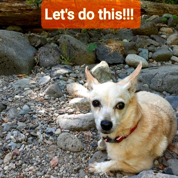 LIKE, SHARE, FOLLOW! Come back when price drops! - Picture 4 of 15